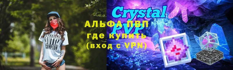 A PVP СК  Анжеро-Судженск 